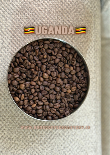 قهوه اوگاندا روبوستا 100%